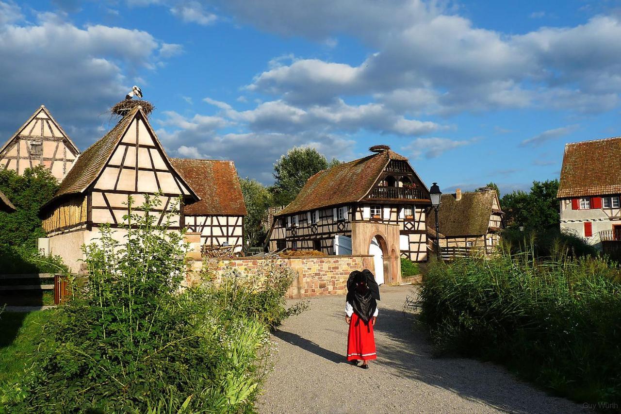 Ferienwohnung Chez Christian Breitenbach-Haut-Rhin Exterior foto