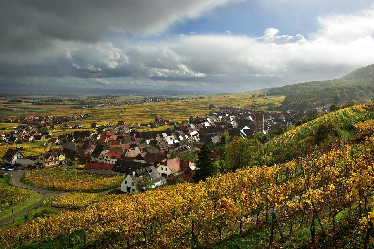 Ferienwohnung Chez Christian Breitenbach-Haut-Rhin Exterior foto